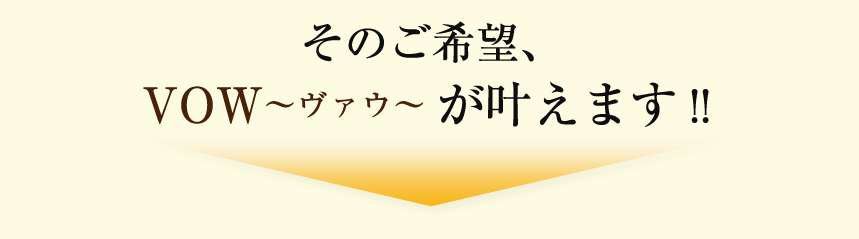 そのご希望、VOWが叶えます！