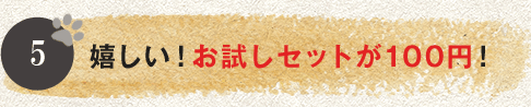 うれしい！お試しセットが100円！
