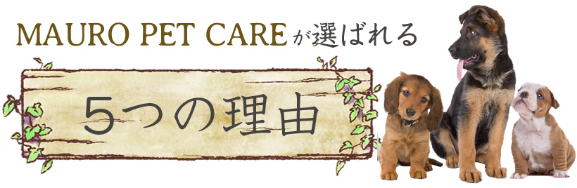 MAURO PET CARE(マウロペットケア）が選ばれる5つの理由