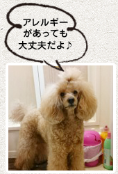 伊佐みどり