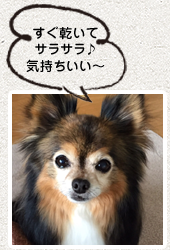 INDEXのMIKさん