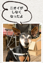 いつも臭かった
