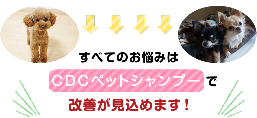 このレベルのお悩み解決はCDCペットシャンプーにとってあまり難しい事ではありません。