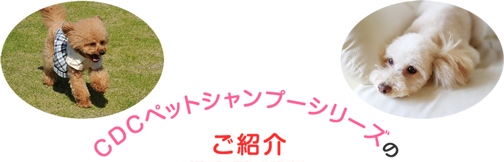 CDCペットシャンプーシリーズのご紹介