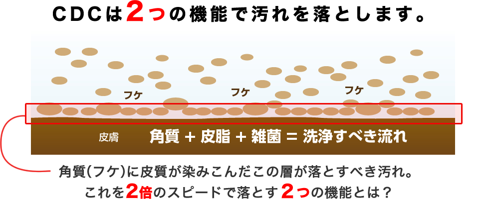 CDCは2つの機能で汚れを落とします。角質（フケ）に皮質が染みこんだこの層が落とすべき汚れ。これを2倍のスピードで落とす2つの機能とは？