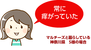 常に痒がっていた。マルチーズと暮らしている神奈川県　Ｓ様の場合